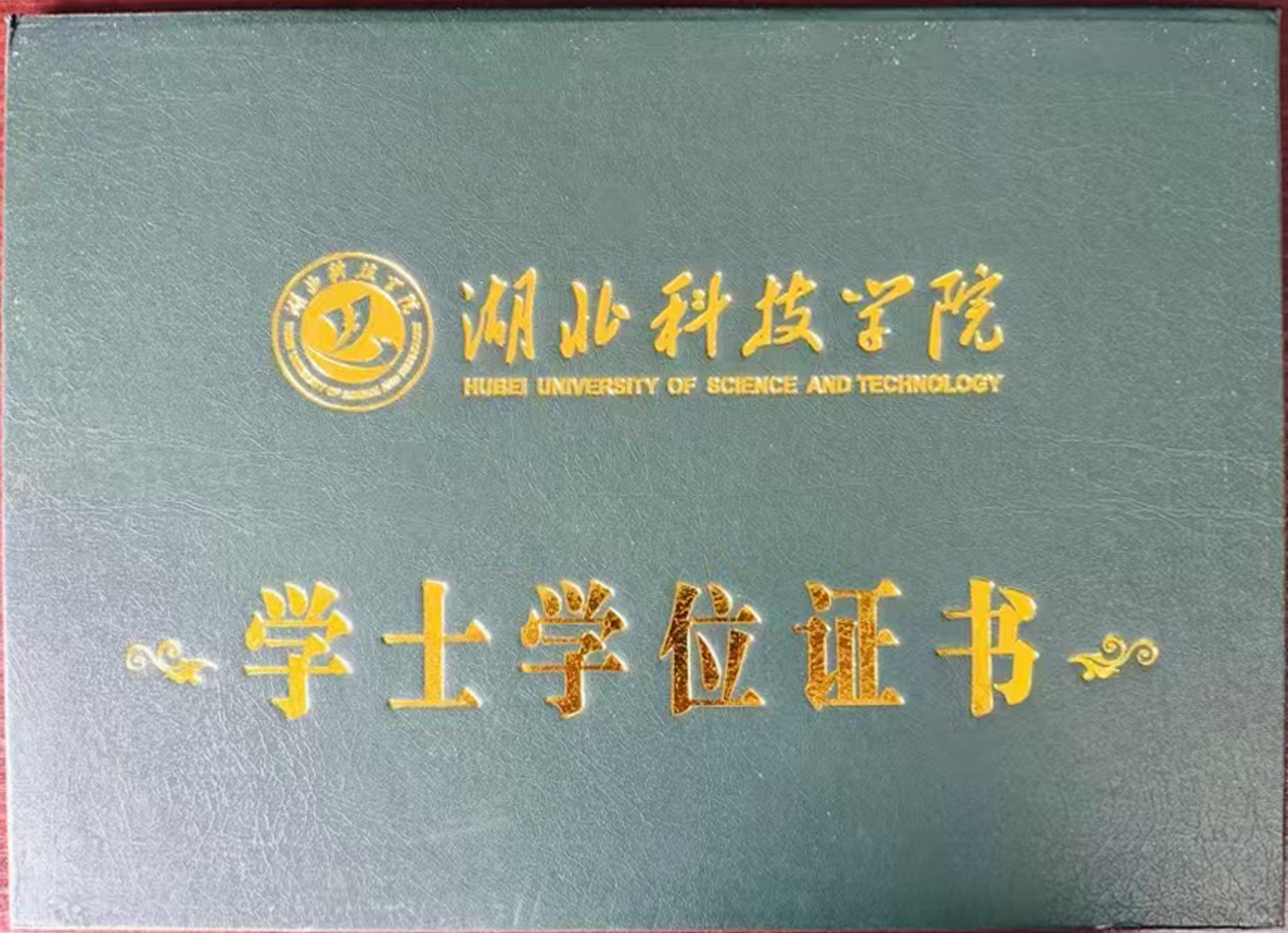 湖北科技学院毕业证书样本